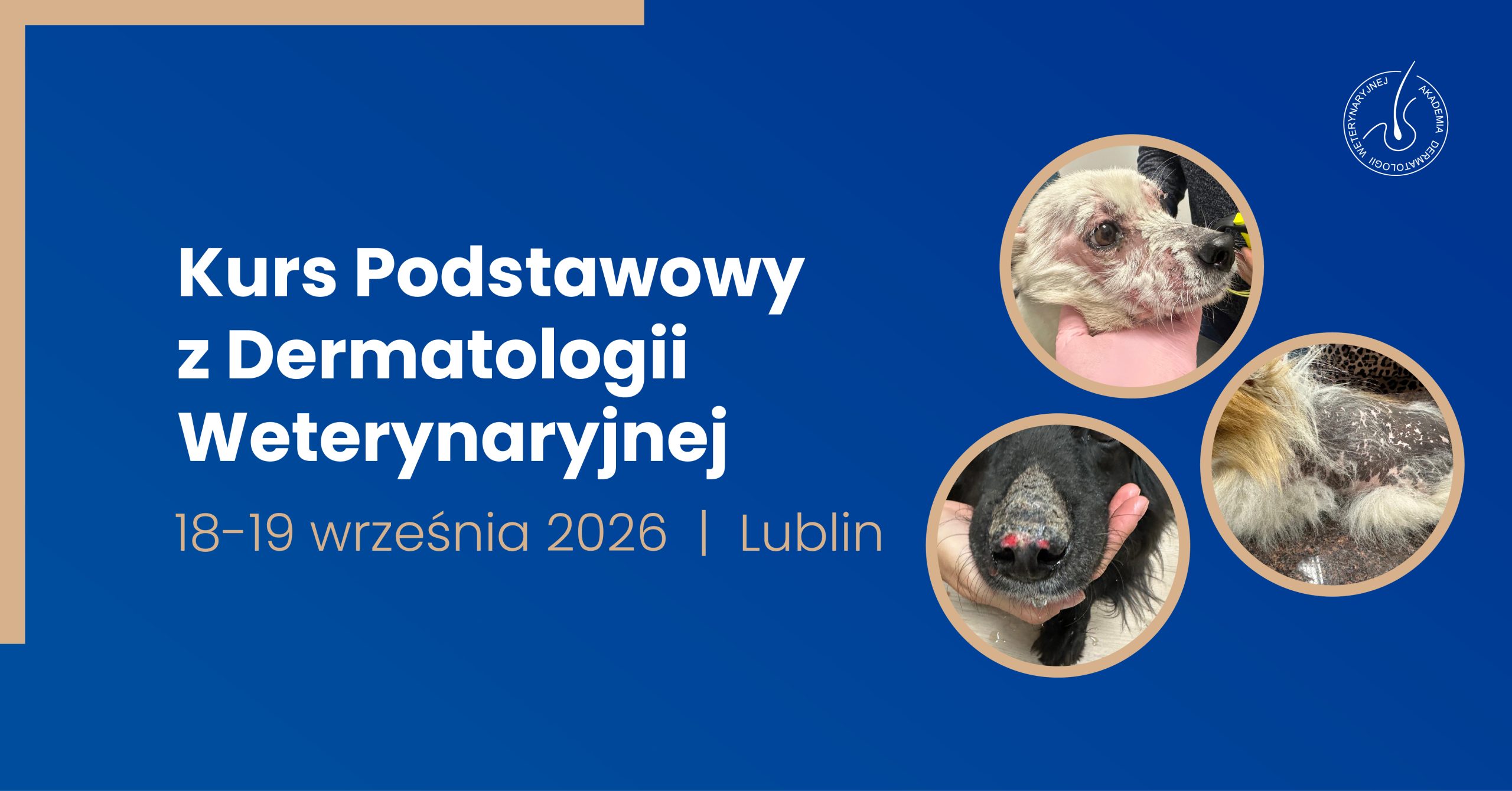 Kurs Podstawowy z Dermatologii Weterynaryjnej | 18–19 września 2026 | LUBLIN
